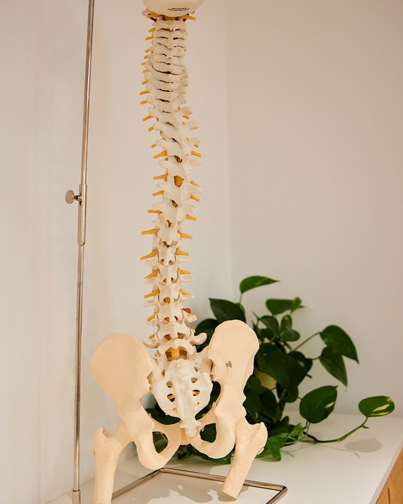 Physiotherapie oberes Mühlviertel
